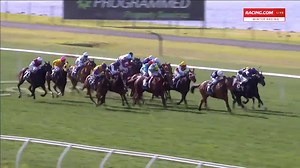 5.9K views · 85 reactions | What a performance! Jumper Monarch...