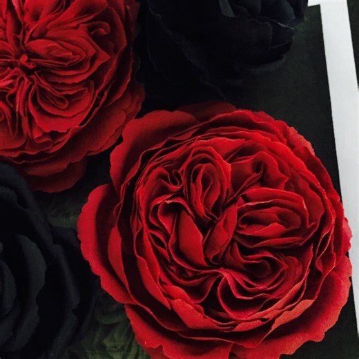 No Tools HandMade Dahlia TUTORIAL ❤️free❤️ Creating dahlia with no tools, no veiners, no cutters What you need. Bakels Pettinice flower paste find my recipe https://www.pettinice.com/tutorials/making-flower-modeling-gumpaste/Or gumpaste, or foam cold porcelain clay and other mediums. Clean second hand lunch bag. Can be made on sugar bud to create fully edible flower. Fun simple flower for artists with patience.Hope you like it. An oldie but a goodie ❤️💜❤️Sugar hugs LisaPs to get this colour use