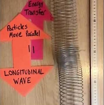 Waves on a slinky Longitudinal and Transverse