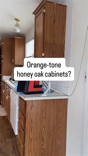 The Manufactured Cottage on Instagram: "Am I losing it or did I actually find a way to salvage these cabinets and tone down the orange? Please tell me before I commit to the whole kitchen 😅 #diy #diyrenovation #cottage #homerenovation #beforeandafter #kitchenrenovation"