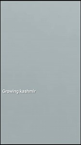 756K views · 10K reactions | Snow Avalanche in sarbal sonmarg | Growing Kashmir Live | Facebook