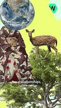 Diggit Wiki: the concept of 'Ecofeminism' explained