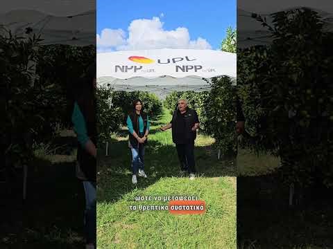 Βιώσιμες Λύσεις για Βιώσιμους Παραγωγούς στην Καλλιέργεια των Μανταρινιών