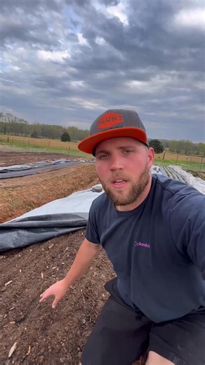 Germinating Carrot Seeds: What to Look For. So I did a video last week showing how to plant and get near perfect germination with carrot seed. It’s been a little over a week and here is what you need to be looking for. As soon as you see your carrot seeds beginning to germinate and sprout like you see here then it’s time to pull the silage tarp. Make sure you keep everything nice and watered until your carrot seedlings get established #fblifestyle #growingcarrots #germinatingcarrots #plantingcar