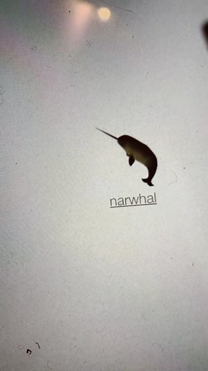 Go follow @.tow3rdefenc on TikTok