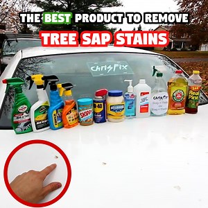 Which Product Removes Tree Sap The Best? 🤔👀 | ChrisFix