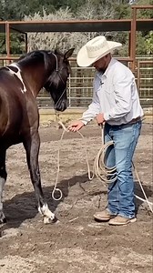 108K views · 995 reactions | Make Sure Your Horse Always Has a Home by Adding Value Through Training | Ryan Rose | Facebook