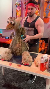 🤖 Animatronic Repairs: BoBo - #magic #crafting #puppet #animatronics #diy | andre.armenante