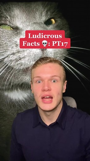 Ludicrous Facts 💀: PT17 | Homework Help Global