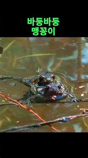 He finally succeeded in his courtship!