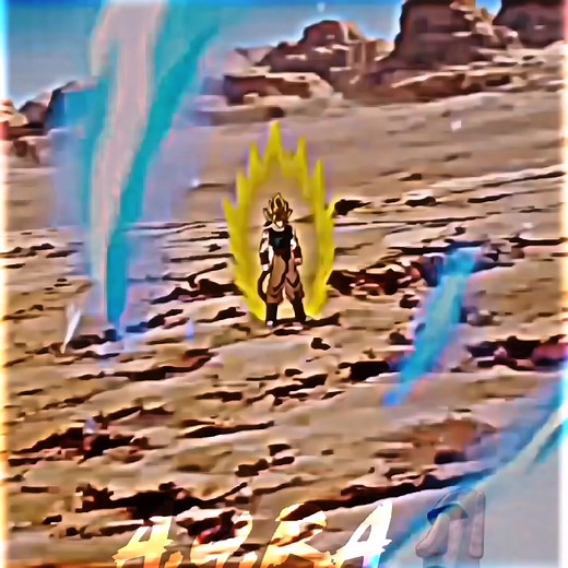 Goku Ultra Instinct vs. Bardock Super Saiyan 4 Fan Fight