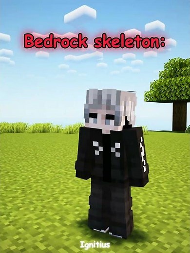 java vs bedrock skeleton 🔥☠️