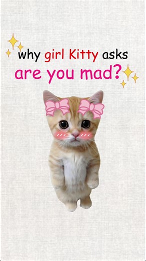 Understanding Cat Behavior: Why Do Cats Ask If You’re Mad?