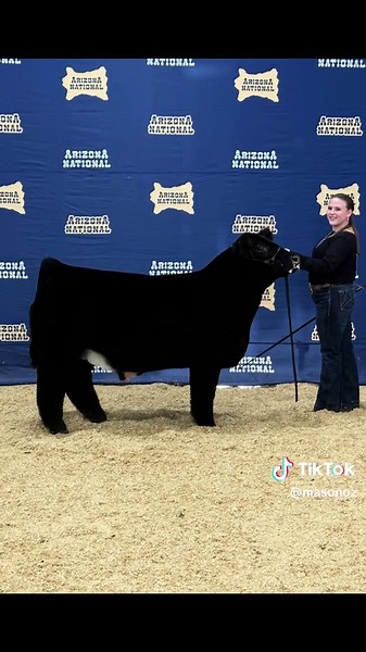 Arizona National Livestock Show Highlights and Insights