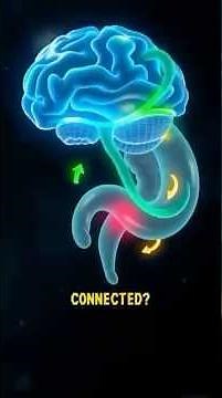 The Gut-Brain Connection: How Your Body & Mind Are Linked 🧠🦠