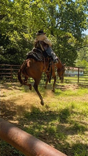 Why Horses Buck When They First Get Saddled