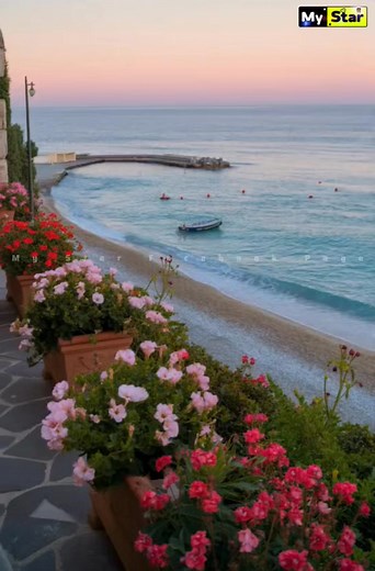 Hello November....💐❤️✨️ | My Star