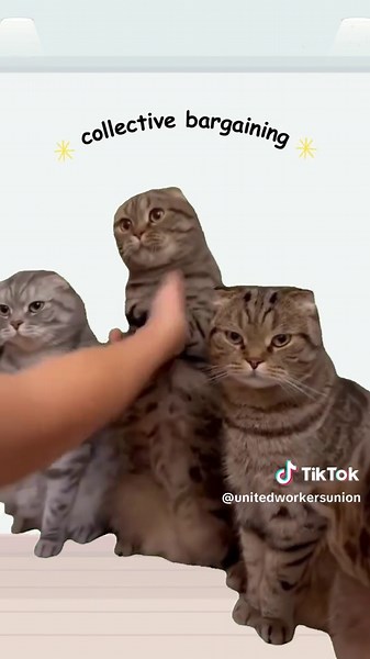 How Unions Help Workers Achieve Higher Pay