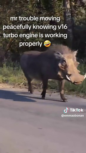 Kasongo Yeye: The Turbo Engine Warthog Experience