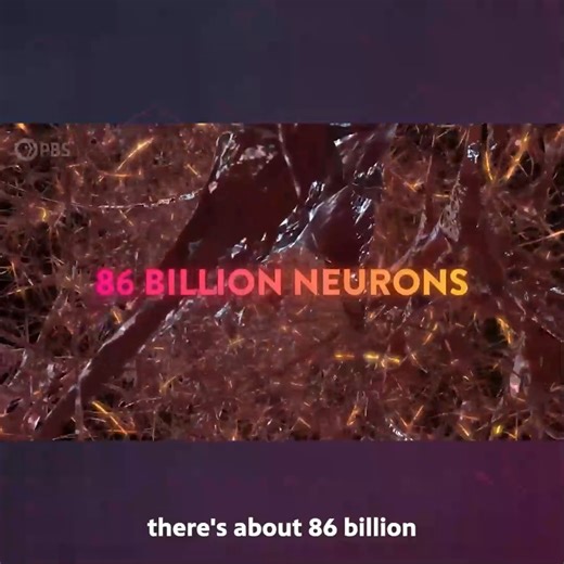 207K views · 4.7K reactions | How Your BRAIN Makes ELECTRICITY! | Be Smart | Facebook