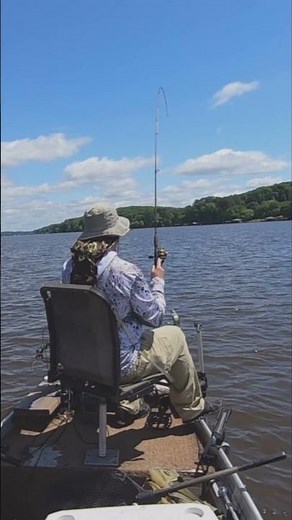 Crappie Fishing Post-Spawn Brush Piles (LiveScope+) #fishing #fun #angler #gopro #crappiefishing