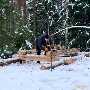 Building LOG CABIN in FOREST without POWER TOOLS Winter Overnight Bushcraft Camp.#survival #adventure #wilderness #camping #bushcraftcamping​ #logcabin #cabin | Solo Bushcraft | Facebook