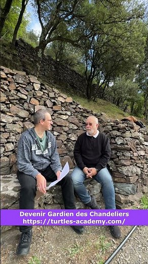 Deviens Trader Pro : Rejoins la Turtles Academy