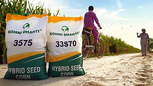 2.3K reactions · 264 shares | #Sohni #Dharti #International #Seed #Hybrid #Pakistan #Punjab #Farmer #Corn #3575 | Sohni Dharti International | Facebook