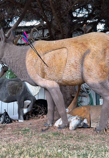 Springtime, archery practice