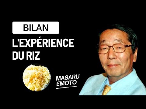 Bilan : l'expérience du riz de Masaru Emoto