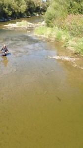 Via @flyfishing.guiding.slovakia // what a magnificent dry fly take. How fast did that fish spit the fly? . . . . #flyfishing #dryflyfishing #sightfishing #dryflytake #bigfish #backcountryflyfishing #risingfish #missedfish #fishhunter | In the Loop Magazine