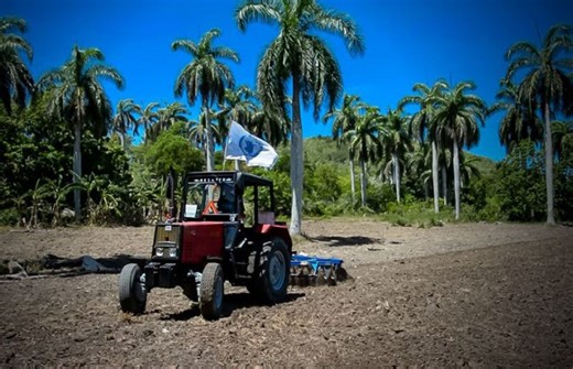 Cuba y la FAO en el camino de fortalecer la seguridad alimentaria - La Demajagua
