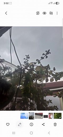 How to Easily convert your HEIC image to Jpg in Samsung Smartphone?