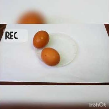Experimento de la célula animal y vegetal