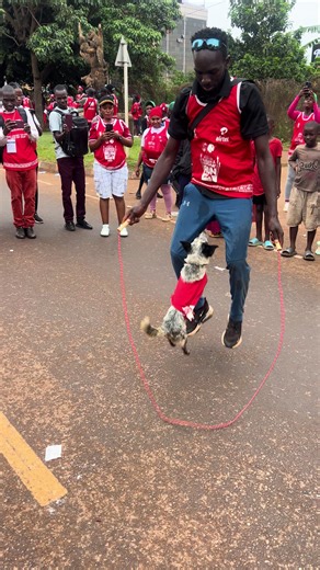 Creature Searching Sight - Dog Entity