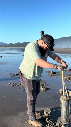 Razor Clamming Seaside Oregon #beach #clamming #outdoors #clams #fishing