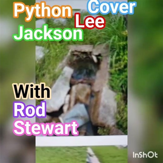 In a Broken Dream by Python Lee Jackson feat.Rod Stewart (Cover)