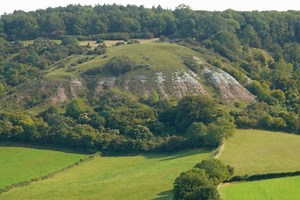 Help protect nature, every day of the year | Somerset Wildlife Trust