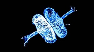 Fluid Simulation with Colliding Blue Particles Dynamic fluid simulation featuring blue particles colliding, dispersing into fragments, and reforming at the center for repeated motion.