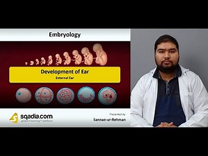 Development of Ear | External Ear