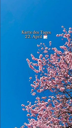 Karte des Tages 22. April 🔮 Der Hierophant #tarotreading #tarot #tarotdeutsch