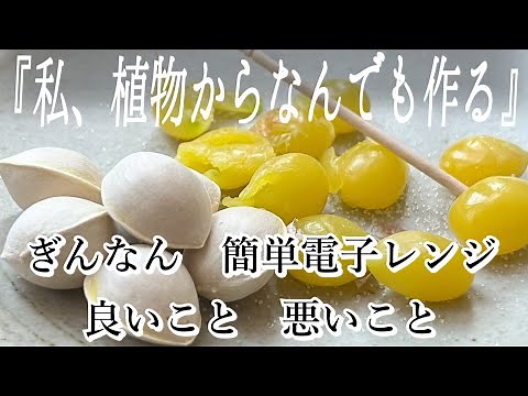【採取方法・食べ方】ぎんなんの「電子レンジ」と「封筒」を使って３分調理｜ギンナン採取方法｜レンチンの良いトコ悪いトコ#ぎんなん#料理