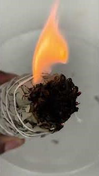 How to Cleanse With Sage Burning