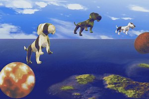 3d cam test - Free Addicting Game ★★★★★