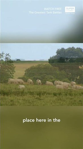Eastern France's Killing Ground | S1 E8: The Battle of Arracourt | Full Episode