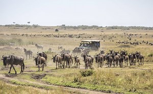 About Us - Africa's Luxury Travel Experts