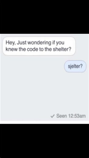 Sjelter? #deltarune #funny #shorts