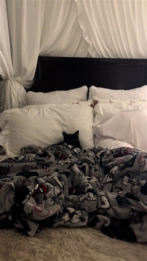 Getting My Cat Tucked In Before Work