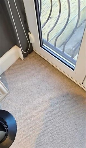 Professional Carpet Cleaning in London – Mould & Corner Stain Removal Experts