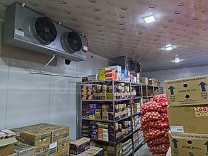 [Hot Item] 100 Tons Potato Cold Storage Door Freezer Cold Room